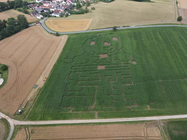 Das Maislabyrinth in Kremmelsord von oben