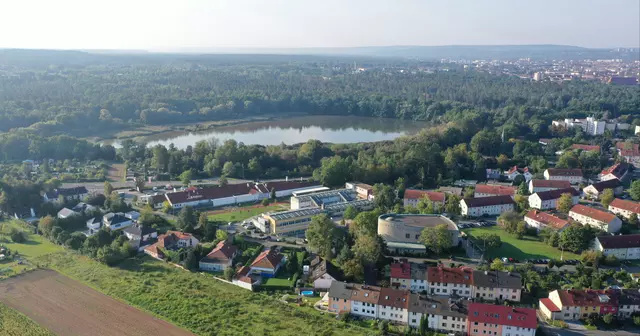 Lichteneiche, Foto: www.drohnenflugbayern.de