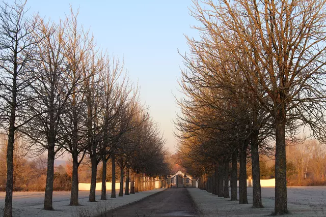 Winter in Memmelsdorf: Fasanerie